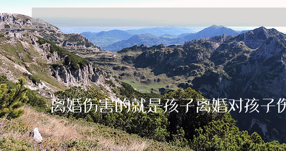 离婚伤害的就是孩子(离婚对孩子伤害)