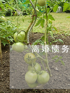 离婚债务怎么分配