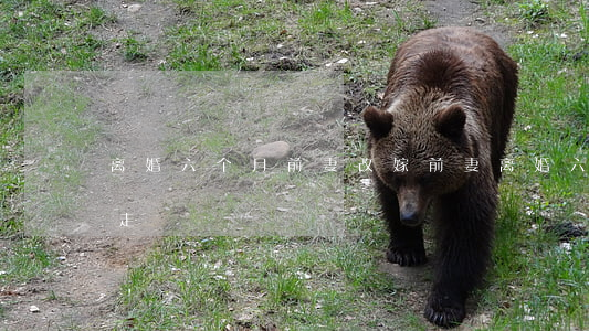 离婚六个月前妻改嫁(前妻离婚六年户口不迁走)