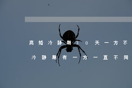 离婚冷静期30天一方不同意了怎么办(离婚冷静期有一方一直不同意怎么办)