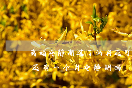 离婚冷静期过了俩月还可以离婚吗(现在离婚还有一个月冷静期吗)
