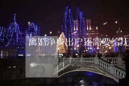 离婚净身出户还需要给抚养费吗