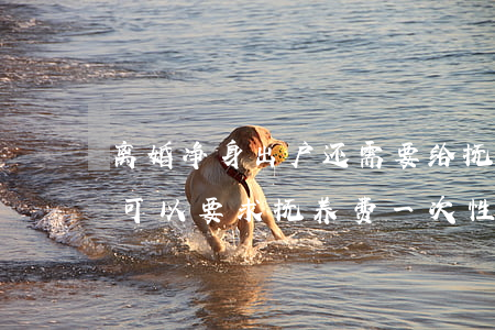 离婚净身出户还需要给抚养费吗(什么情况下可以要求抚养费一次性付清)