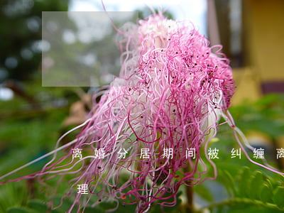 离婚分居期间被纠缠(离了婚还纠缠该怎么处理)