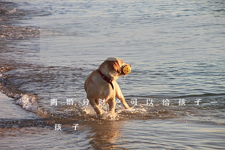 离婚分财产可以给孩子一份吗(离婚 财产分割 孩子)
