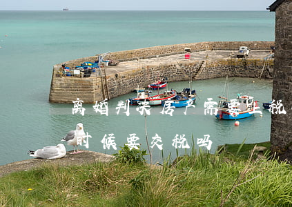 离婚判决房产需要上税吗(离婚所得房产卖的时候要交税吗)