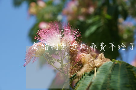 离婚判男方抚养费不给了怎么办