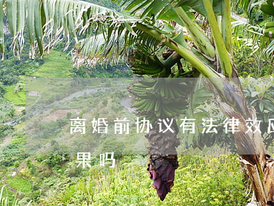 离婚前协议有法律效应吗(离婚协议起法律效果吗)