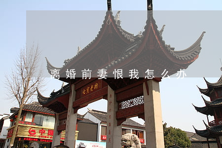 离婚前妻恨我怎么办
