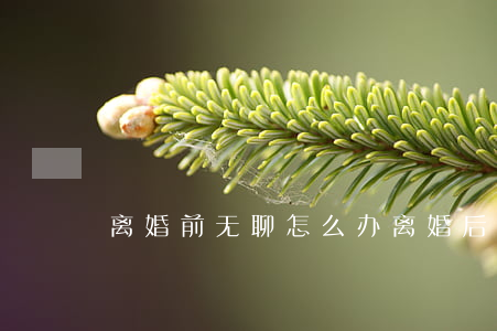 离婚前无聊怎么办(离婚后很孤独怎么办)