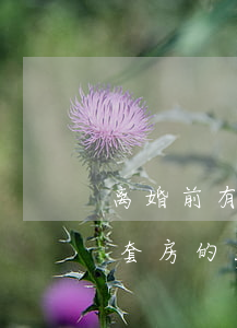 离婚前有房子离婚后可以买房吗(离婚后有一套房的能在买房吗)