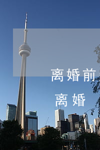 离婚前欠信用卡逾期(婚姻存续期欠的信用卡离婚)