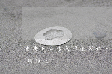 离婚前的信用卡逾期谁还(离婚前的信用卡逾期谁还)