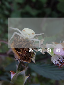 离婚前的规则