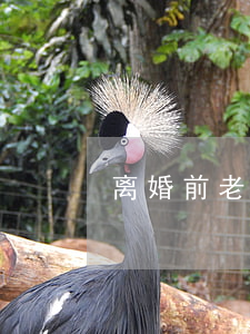 离婚前老公哭了