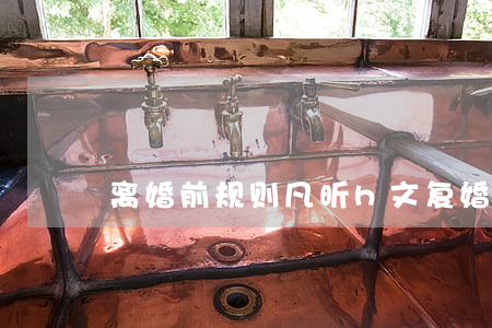 离婚前规则凡昕h文复婚
