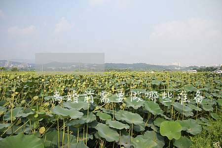 离婚前需要做哪些准备