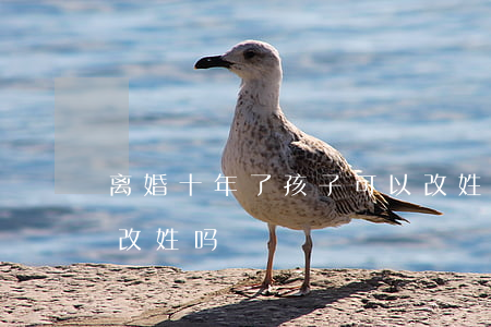 离婚十年了孩子可以改姓吗(离过婚孩子可以改姓吗)