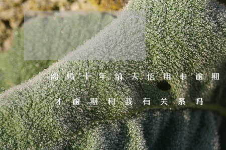 离婚十年前夫信用卡逾期(离婚后前夫信用卡才逾期和我有关系吗)