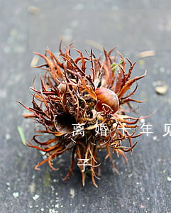 离婚十年见前妻(离婚后十年未见过前夫和儿子)