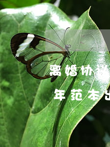 离婚协议2021年范本(离婚协议2021年范本出轨)