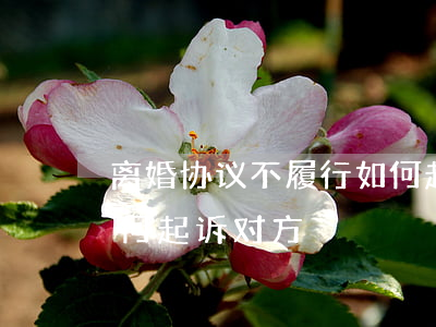 离婚协议不履行如何起诉,离婚协议不履行如何起诉对方 离婚协议不履行如何起诉,离婚协议不履行如何起诉对方