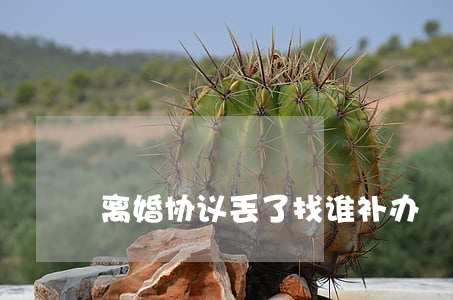 离婚协议丢了找谁补办