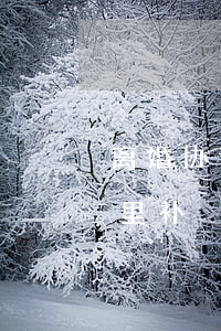 离婚协议丢失在哪补(离婚协议书找不到去哪里补)