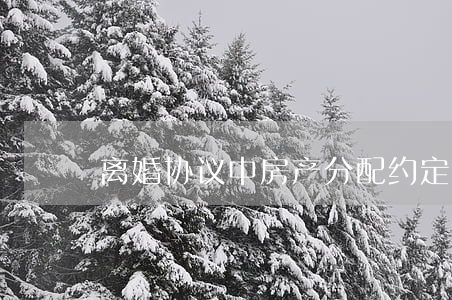 离婚协议中房产分配约定能否排除强制执行