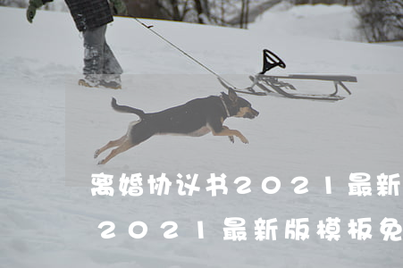 离婚协议书2021最新版模板(离婚协议书2021最新版模板免费女方)