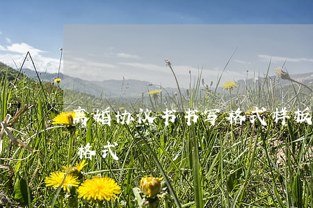 离婚协议书书写格式样板(协议离婚书的书写格式)