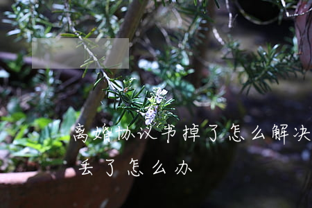 离婚协议书掉了怎么解决(法院的离婚协议书丢了怎么办)
