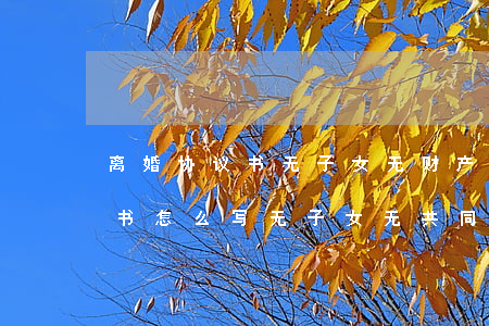 离婚协议书无子女无财产纠纷模版(离婚协议书怎么写无子女无共同财产)