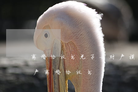 离婚协议书无子女财产模版(新版无子女无财产离婚协议书)