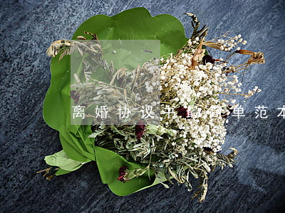 离婚协议书最简单范本