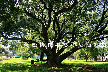 离婚协议书签了反悔怎么办