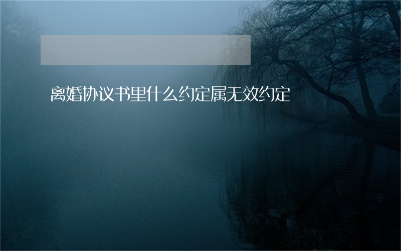 离婚协议书里什么约定属无效约定