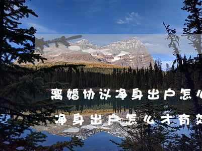 离婚协议净身出户怎么写有效(离婚协议一方净身出户怎么才有效)