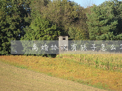 离婚协议有孩子怎么写