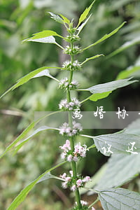 离婚协议男方怎样才能不给钱(男方不按离婚协议还钱)