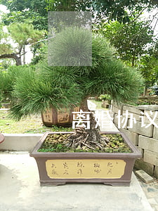 离婚协议起诉流程(离婚协议程序)