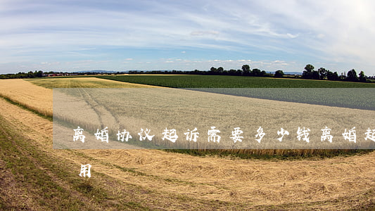 离婚协议起诉需要多少钱(离婚起诉多少钱费用)