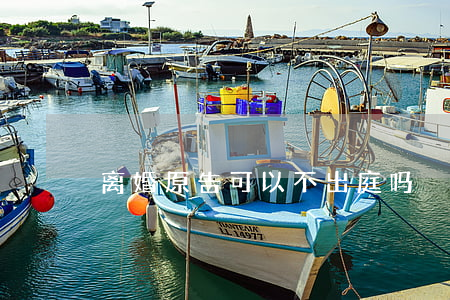 离婚原告可以不出庭吗