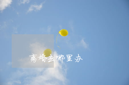 离婚去哪里办