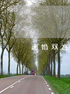 离婚双方一方不同意可以离吗