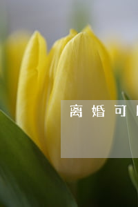离婚可以自己诉讼吗(想离婚直接可以起诉吗?)