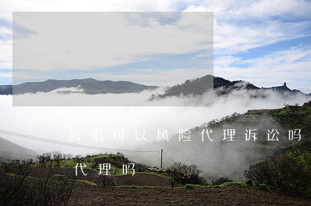 离婚可以风险代理诉讼吗(离婚纠纷可以风险代理吗)