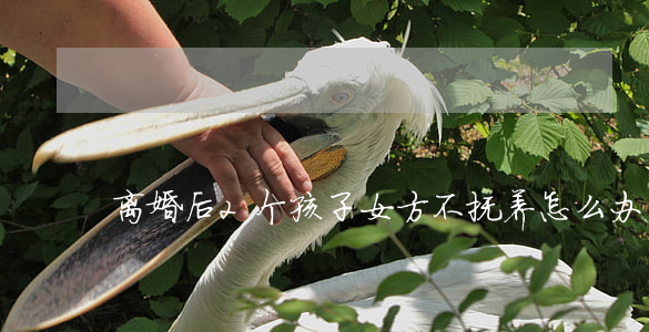 离婚后2个孩子女方不抚养怎么办