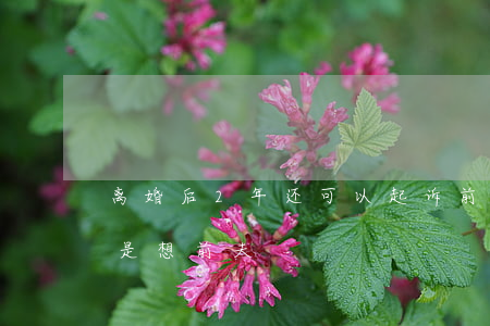 离婚后2年还可以起诉前夫吗(离婚两年了还是想前夫)
