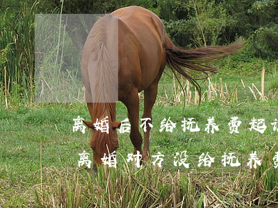 离婚后不给抚养费起诉影响孩子以后政审吗(离婚对方没给抚养费,以后还可以起诉要吗)